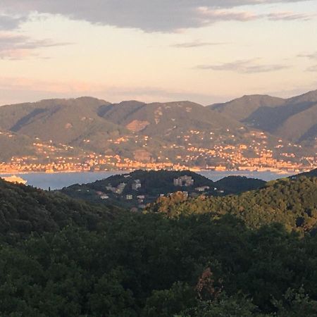 Cinque Terre, Tuscany, Liguria, Lerici #5 外观 照片