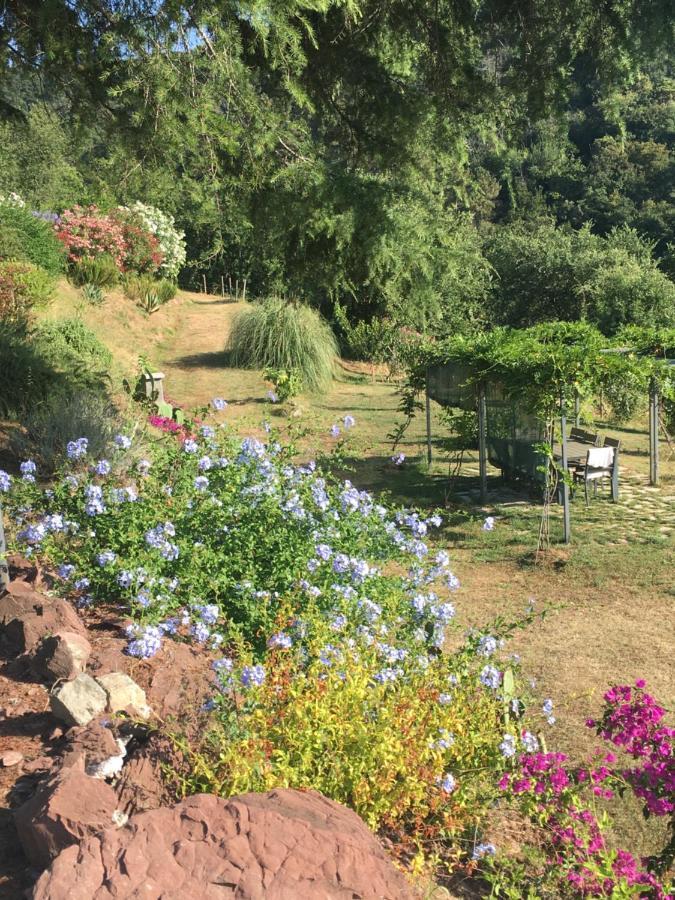 Cinque Terre, Tuscany, Liguria, Lerici #5 外观 照片